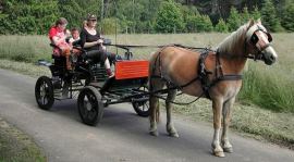 Voor de gasten op de camping of in het vakantiehuisje van kampeerboerderij La Source is er nu de mogelijkheid om eigen pony of paard mee te nemen op vakantie.